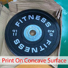 Servo 500mm Flat Screen Printing Machine Weight Plates Silk Screen Press