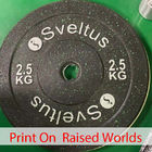 Servo 500mm Flat Screen Printing Machine Weight Plates Silk Screen Press